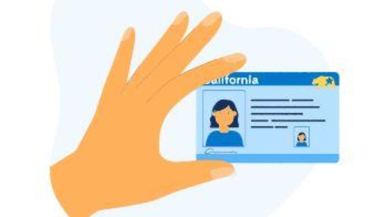 California's 'Senior Drivers' Now Can Renew Their Driver's Licenses Online